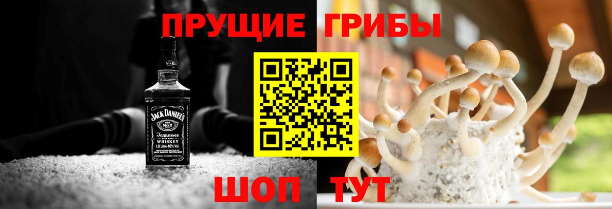 Псилоцибиновые грибы мухоморы  Галлюциногенные грибы MAGIC MUSHROOMS  Вход с VPN  Кызыл 